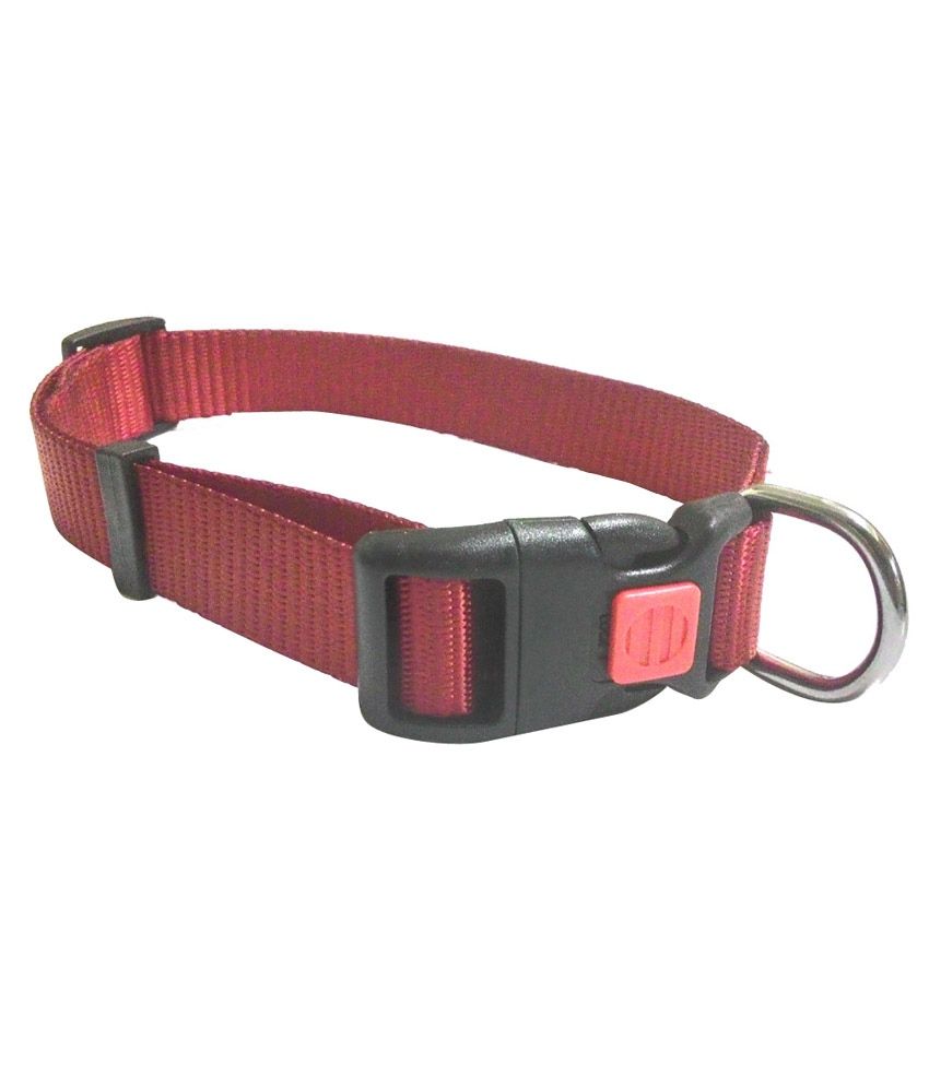 Super Dog Adjustable Dog Lock Collar 25mm Large Buy Super Dog