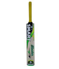 Rudra Kashmir Willow Season Cricket Bat