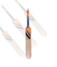 Puma Iridium 5000 English Willow Cricket Bat