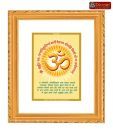 Diviniti Auspicious Om with Gayatri Mantra DG Car Frame
