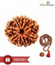 Divine Miracles Natural Nine Face Rudraksha