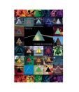 Pink Floyd Dark Side Of The Moon Immersion (24 x 36 Inches)