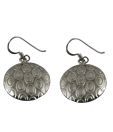 Aiva Stylish Sterling Silver Earrings