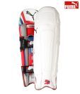 Puma Pulse 6000 Cricket Bating Pad