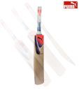 Puma Pulse 5000 English Willow Cricket Bat (Size 7)