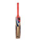 Puma Pulse Gt Kashmir Willow Cricket Bat (Size 4)