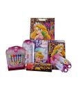 Disney Princess Combo Kit