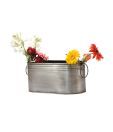 Live n Style Swanky Zinc Finish Side Handle Small Planter