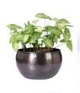 Live n Style Copper Finish Small Iron Planter