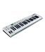 Ashton UMK49 USB Controller Midi Keyboard