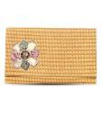 Favola Charming Brown & Beige Clutch