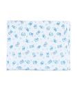 Advance Baby White &  Blue Spongy Plastic Sheet - Small