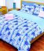 Bombay Dyeing-La Rosa 100% Cotton Bed Sheet with 2 Pillow Covers