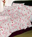 Sleepwell 100% Cotton Beige Double Bed Sheet