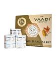 Vaadi Gold Facial Kit - 24 Carat Gold Leaves, Marigold & Wheatgerm Oil, Lemon Peel Extract 270gm