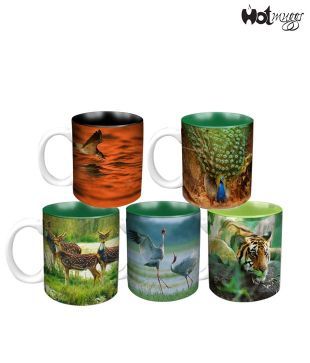 HotMuggs- Wild Focus 5 Mugs Combo - Designers' Pick