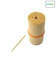 Hitplay Bundled Toothpick Box
