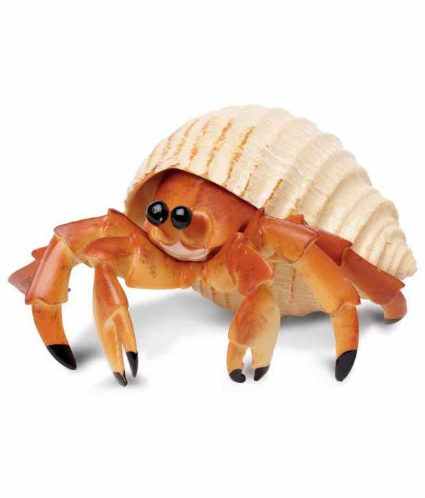 hermit crab soft toy