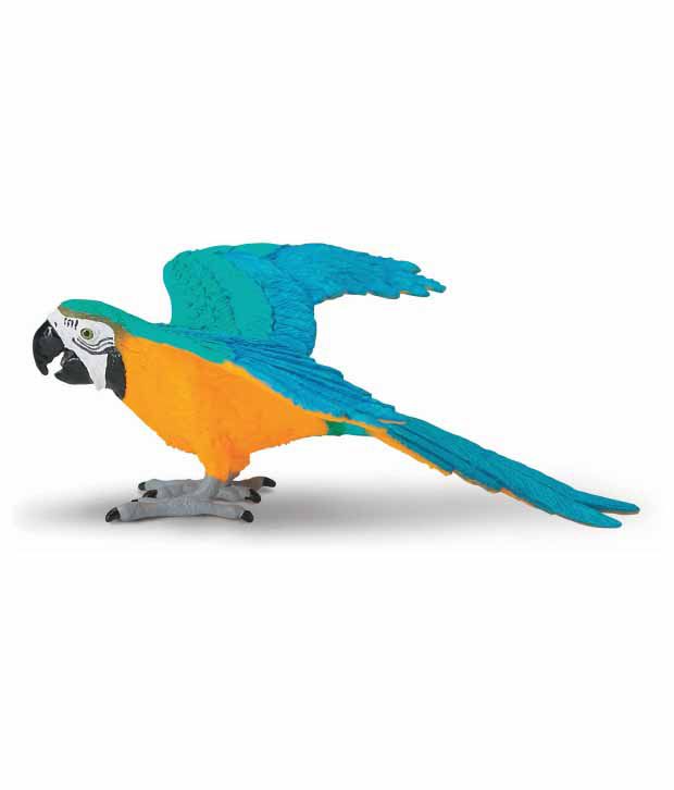 Blue And Gold Macaw Toys 83
