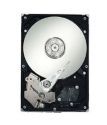 Seagate 750 GB (ST3750630SS)