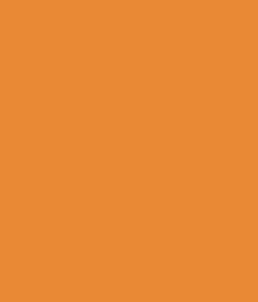 Buy Asian Paints Royale Aspira Dusky Saffron Online at Low Price in
