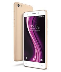 Lava X81 16GB Gold