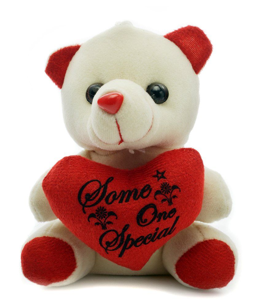 Artist White For Someone Special Teddy Bear With Hanging 