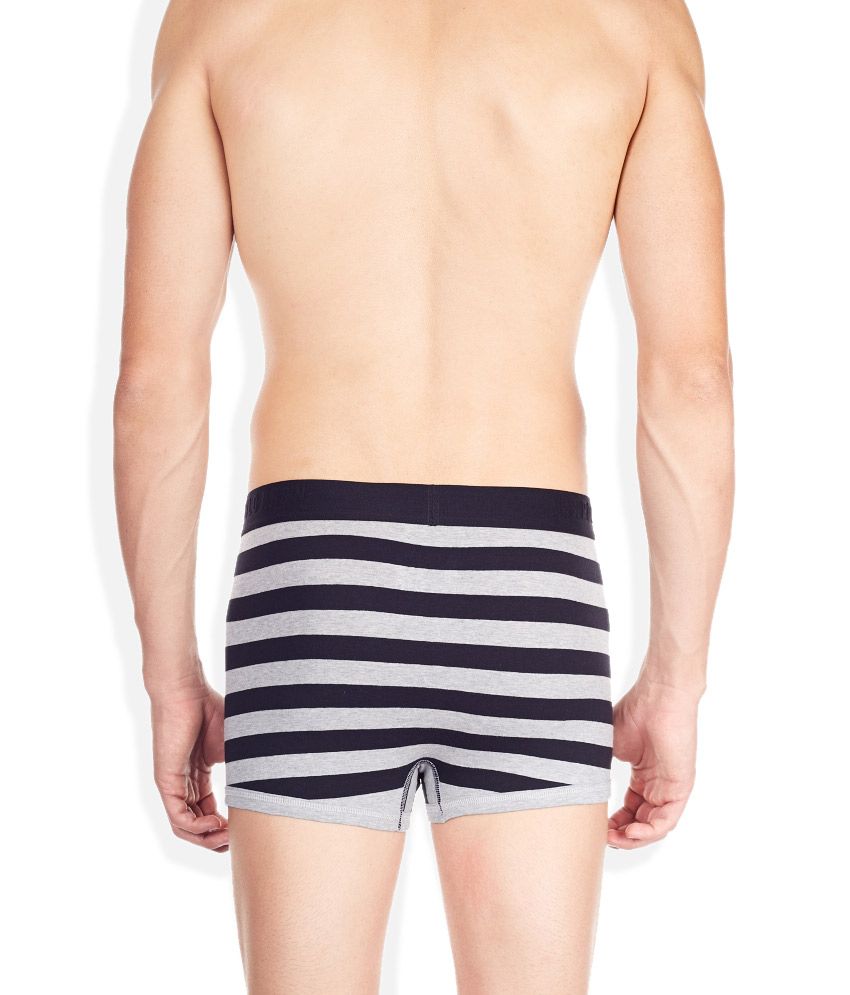 us polo assn trunks