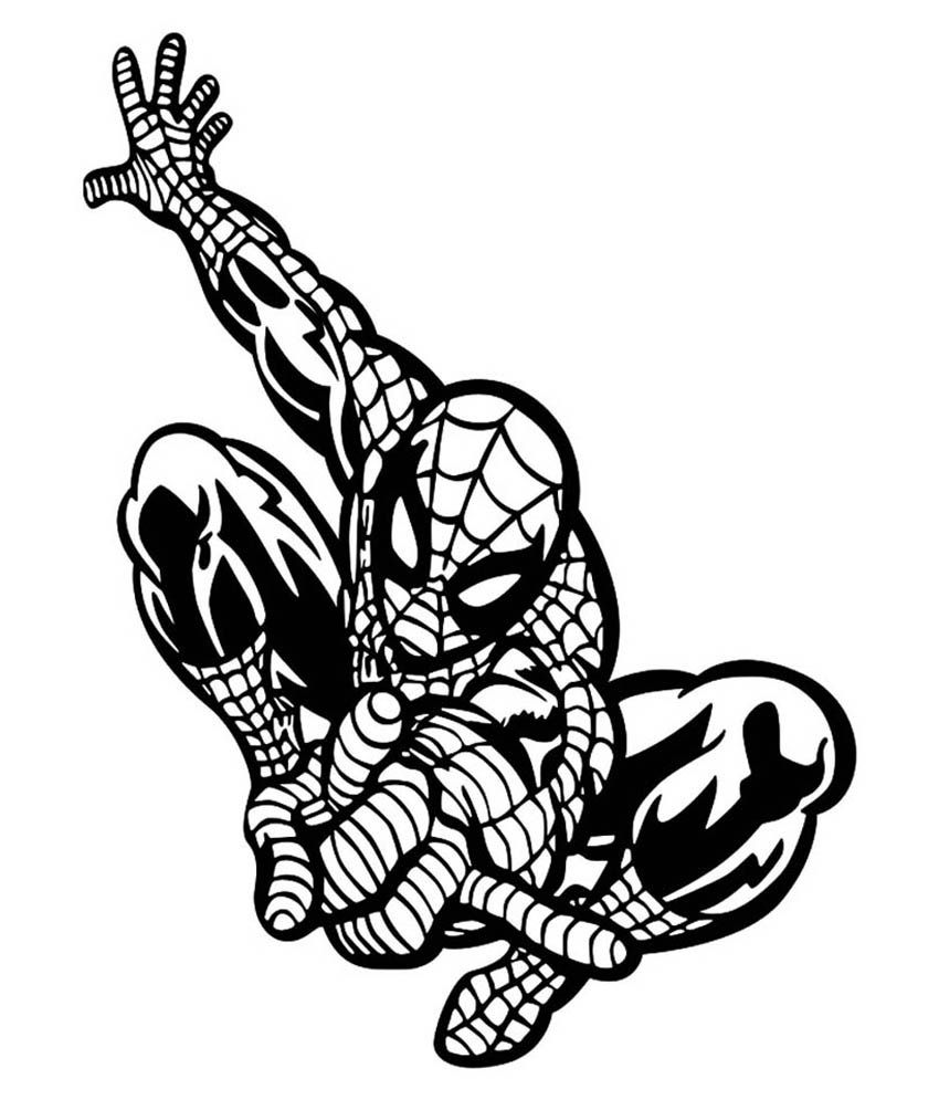 Trends on Wall Spider man Sticker - Medium - Buy Trends on Wall Spider ...