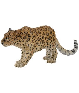 CollectA Amur Leopard