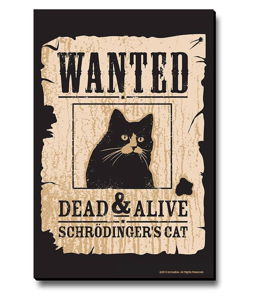 Bcreative Schrodinger S Cat Officially Licensed Fridge Magnet Buy Bcreative Schrodinger S Cat Officially Licensed Fridge Magnet At Best Price In India On Snapdeal
