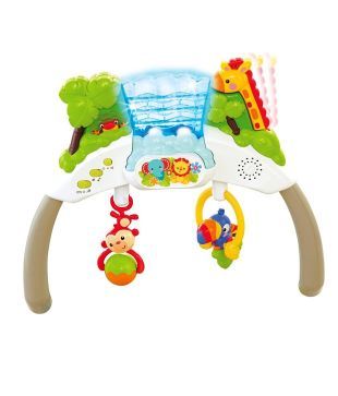 fisher price rainforest friends deluxe bouncer