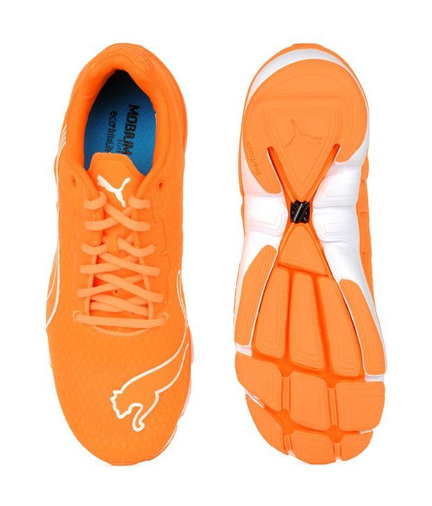 puma elite speed