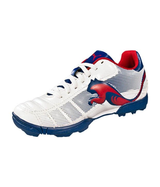 puma evospeed 18.1 cricket shoes