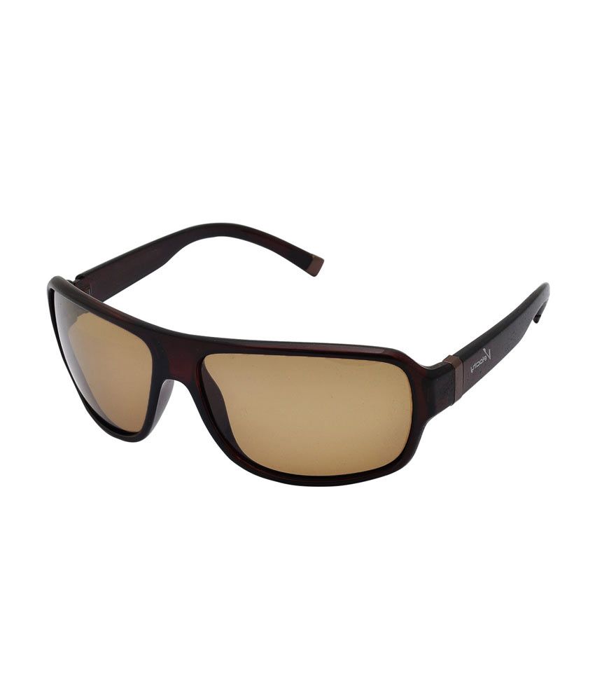 Velocity Brown Square Sunglasses ( ) Buy Velocity Brown Square
