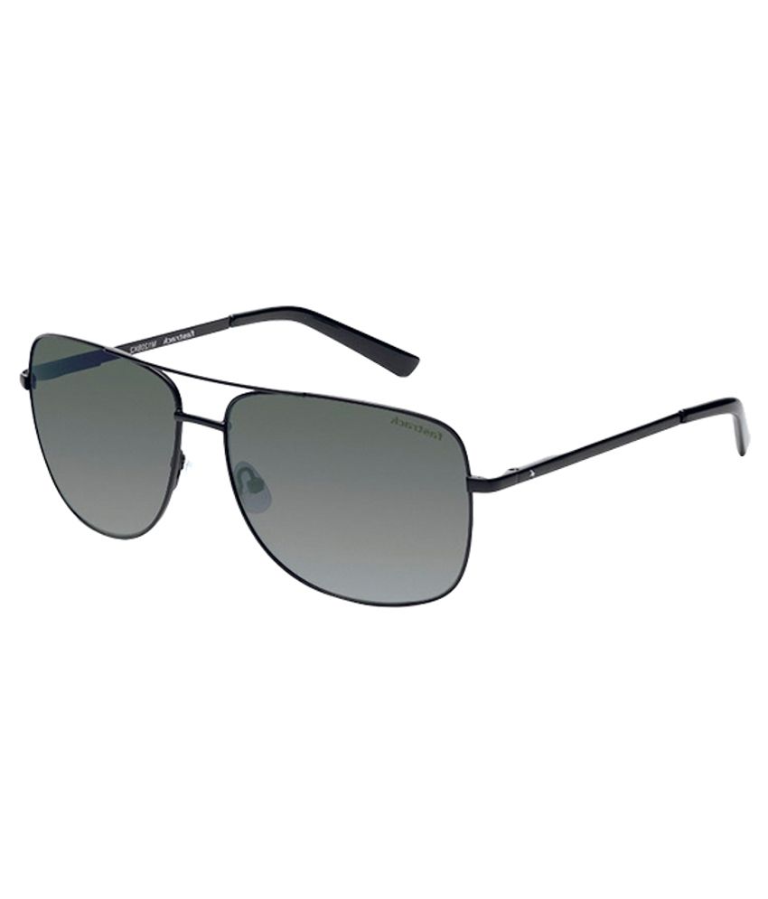 fastrack aviator sunglasses snapdeal