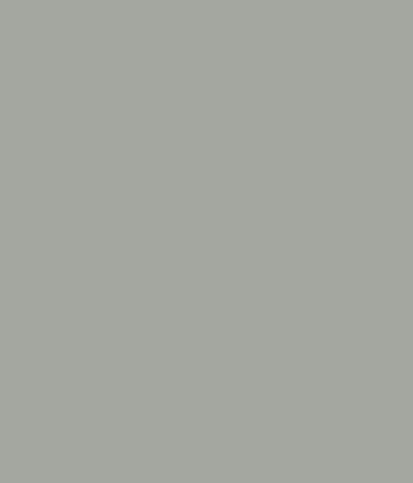 Buy Asian Paints Ace Exterior Emulsion - Oxford Grey Online at Low Price in India - Snapdeal