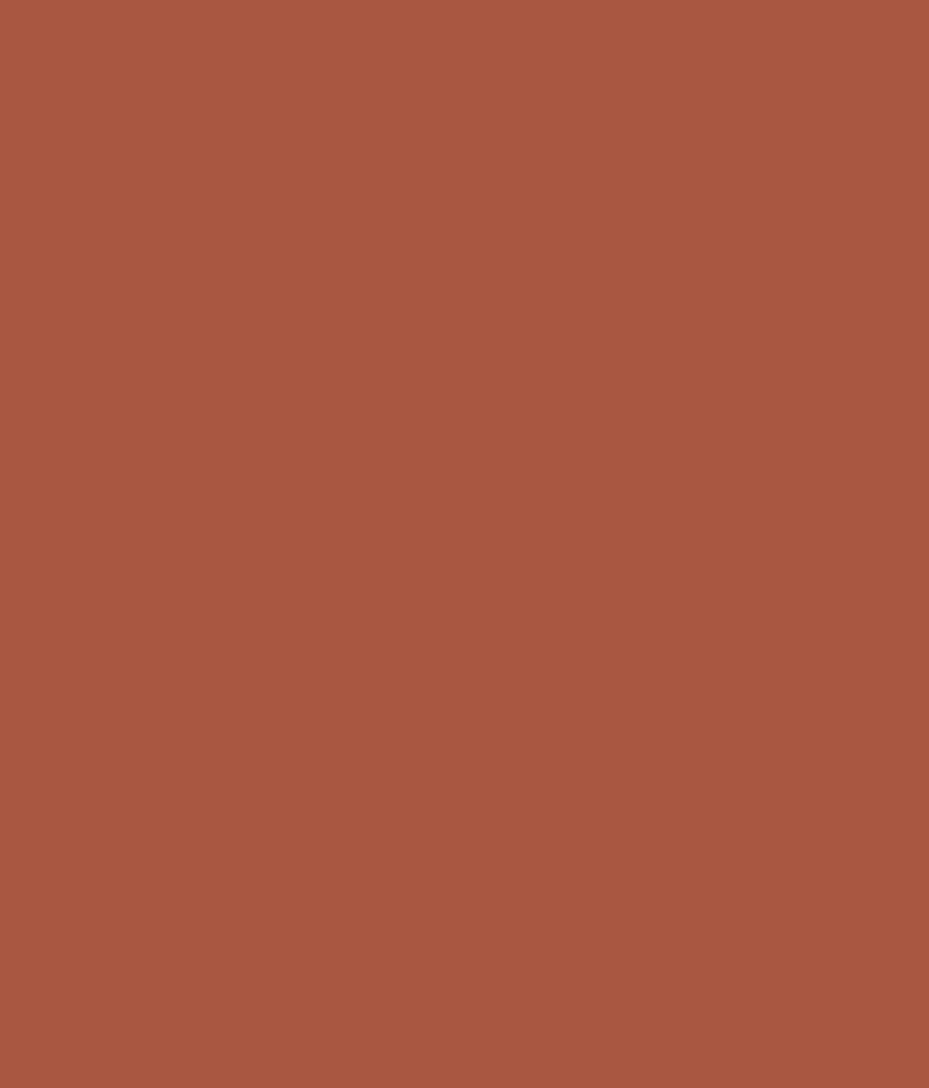 asian paints exterior brick texture