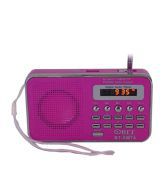 Obit Digital Usb Fm Radio Player - Pink