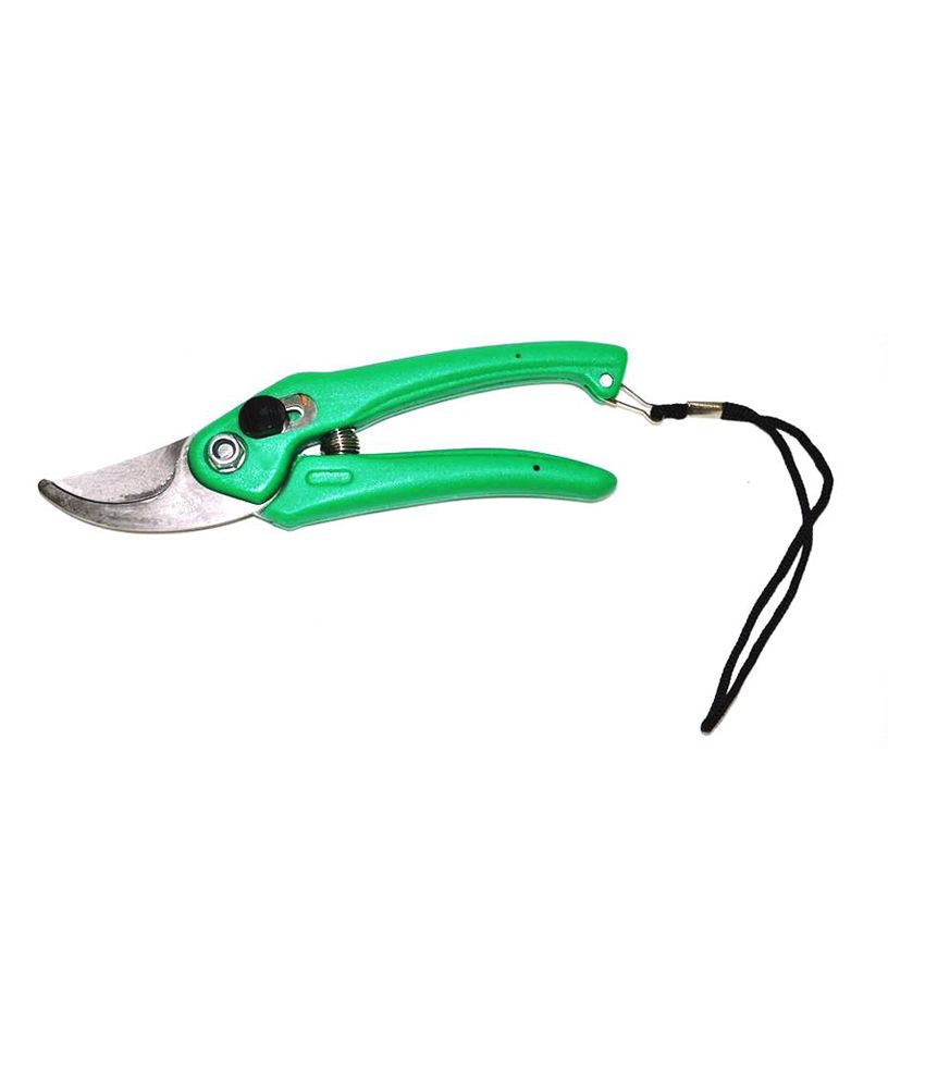 Ainox Green Iron Garden Scissor: Buy Online at Best Price in India ...