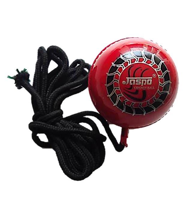 cricket knocking ball