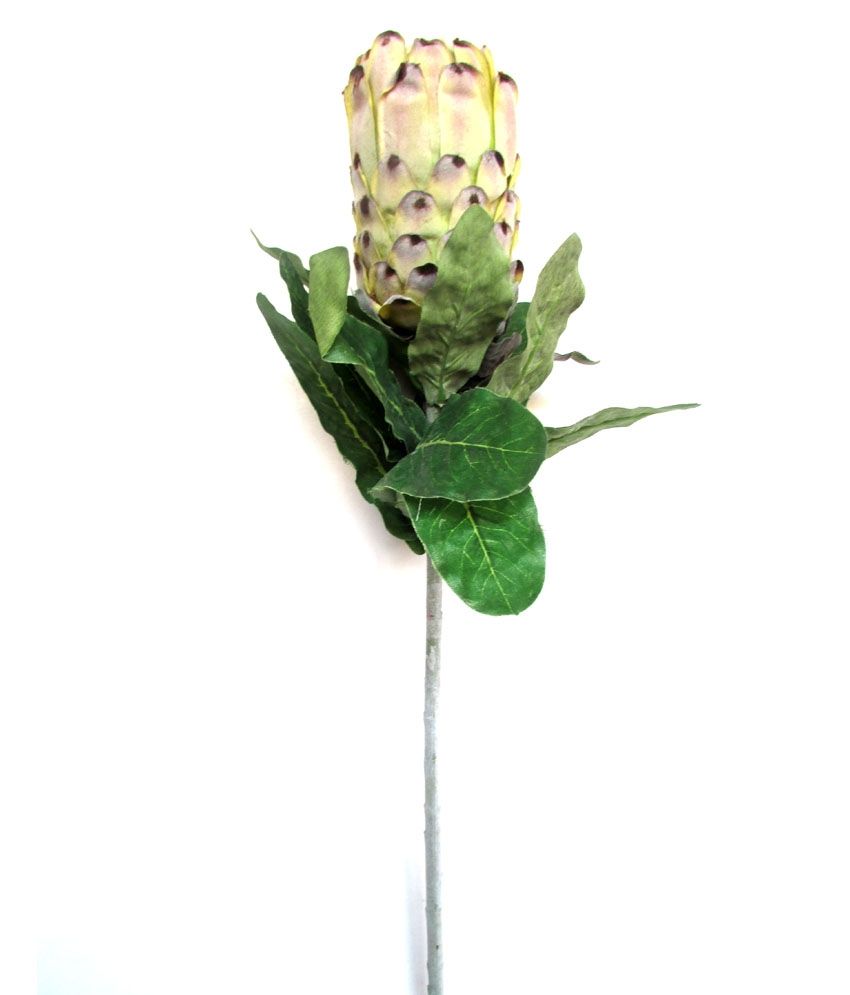 Fourwalls Green Silk King Protea Artificial Flower Buy Fourwalls Green Silk King Protea