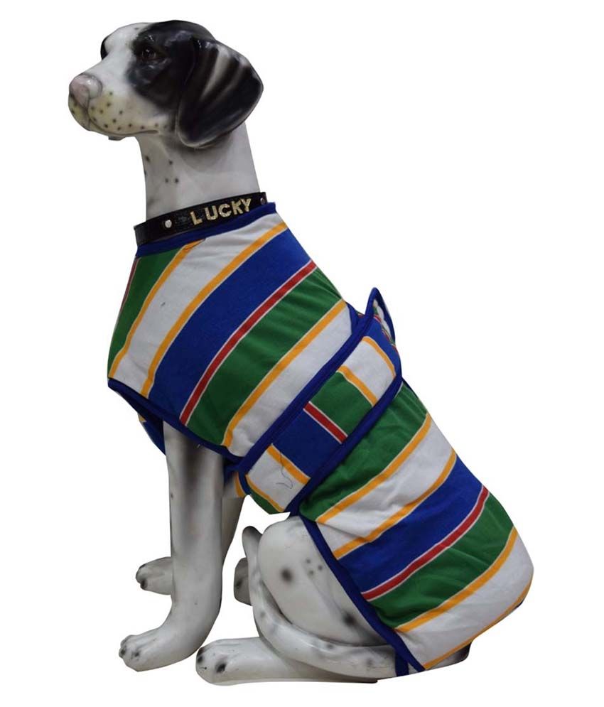 tj maxx dog sweaters