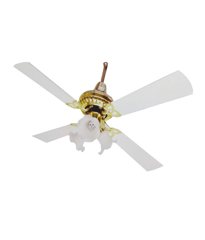 Rr Fan 48 Splurge Ceiling Fan Ivory Price In India Buy Rr Fan 48