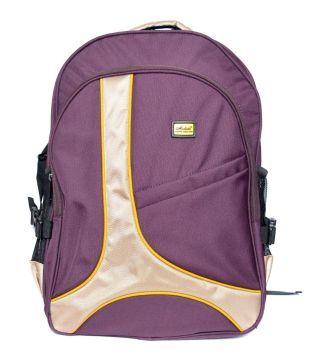 purple and gold backpack