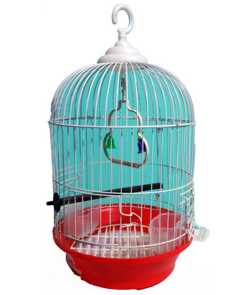 List 98+ Images bird cage pet shop photos Sharp