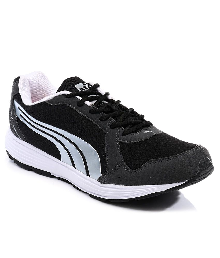 puma descendant puma descendant