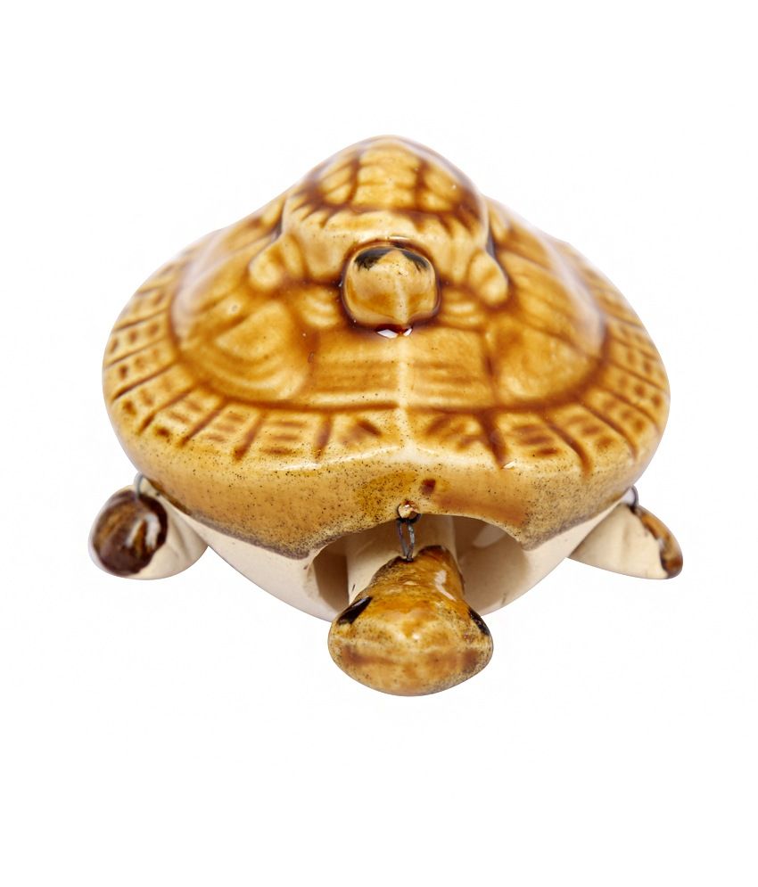 Purelife Supernal Tortoise: Buy Purelife Supernal Tortoise at Best ...