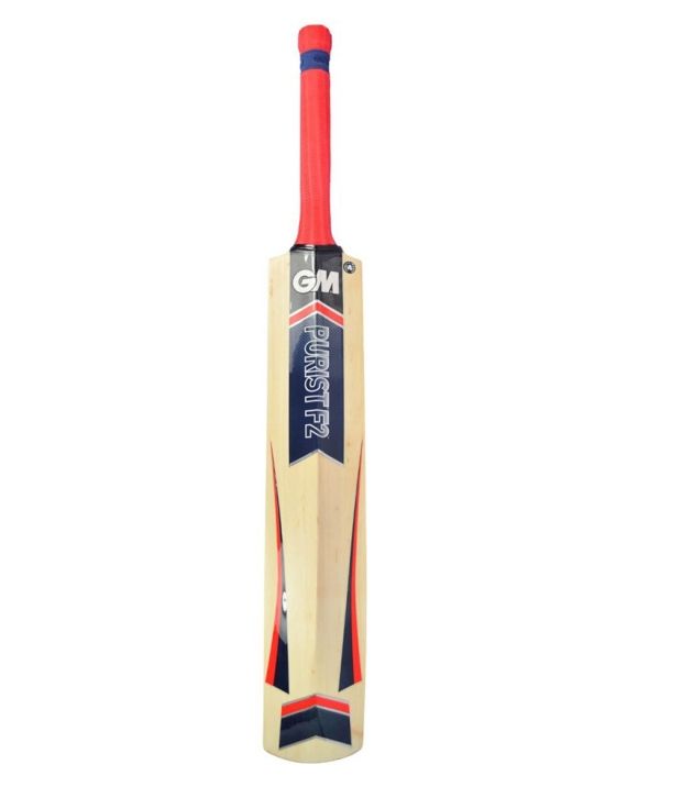 Gm Purist Jr. F2 Striker (S4) Kashmir Willow Cricket Bat Buy Online
