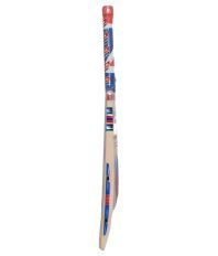 Protos Pro Kashmir Willow bat